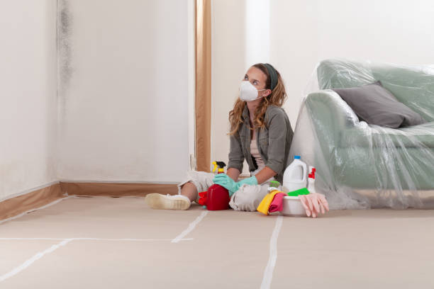 Reliable Commercial Mold Remediation contractor in Bellaire, TX by WQB Mold Removal